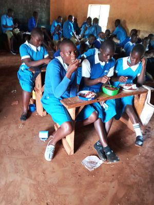 48e59a42-6c5a-4e5e-be3d-0a4ee83251e0